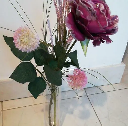 Center Roko Appartement Split