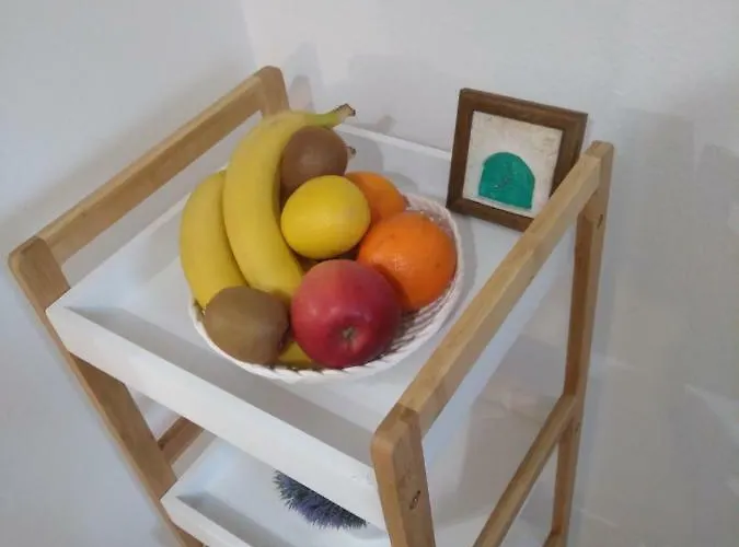 Center Roko Appartement