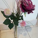 Center Roko Apartmán Split