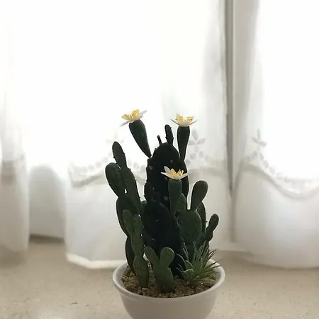 Διαμέρισμα Center Roko *